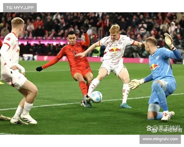 拜仁慕尼黑体育场名称的由来与背后的传奇故事