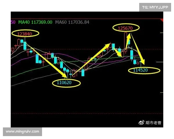 如何深入分析大马羽球超级1000赛最新动态及其对赛事格局的影响