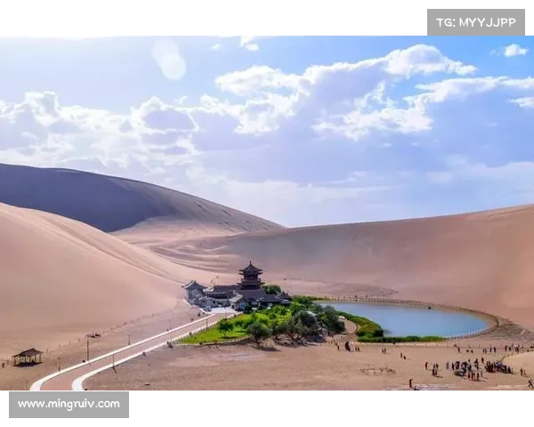 山东泰山训练策略分析：高风险挑战还是值得尝试的突破之路